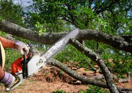 Best Pest Control for Lawns  in Wanatah, IN