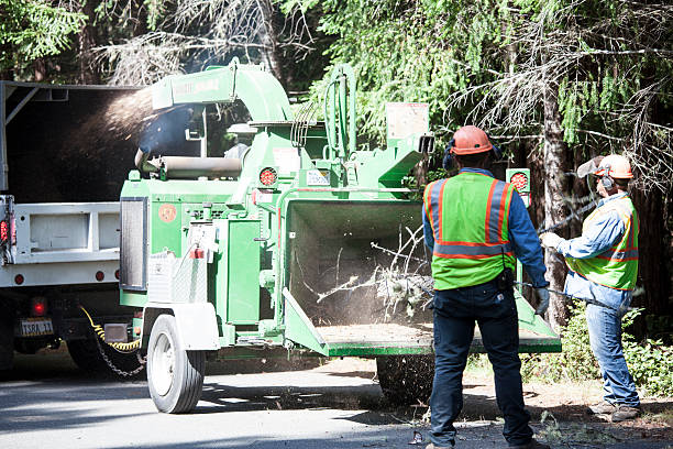Wanatah, IN Tree Care Company