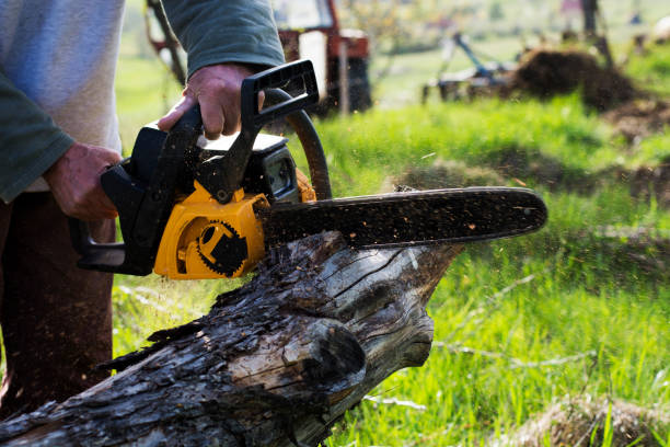 Best Lawn Mowing  in Wanatah, IN